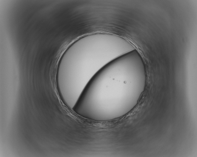 X0000110980241200906191056