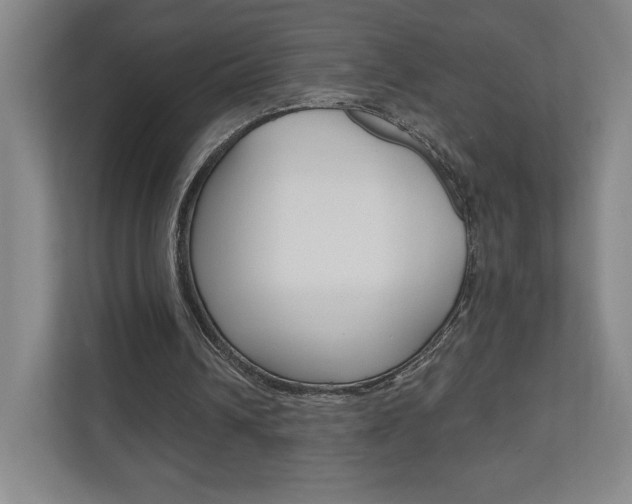 X0000110980242200906191056