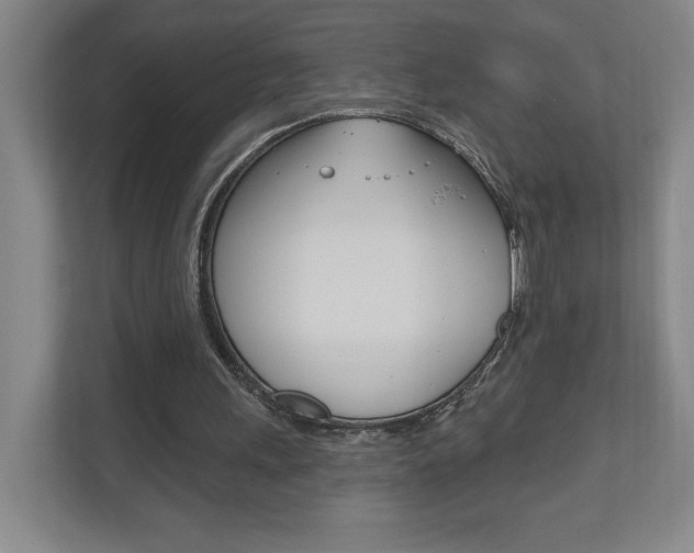 X0000110980243200906191056