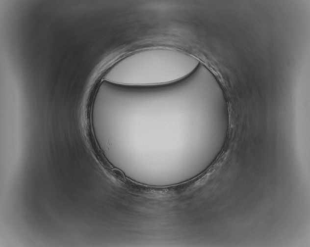 X0000110980245200906191056