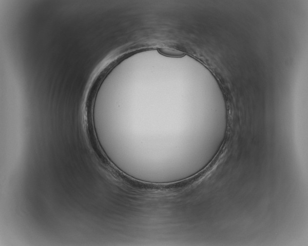 X0000110980246200906191056