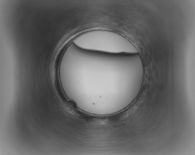 X0000110980247200906191056