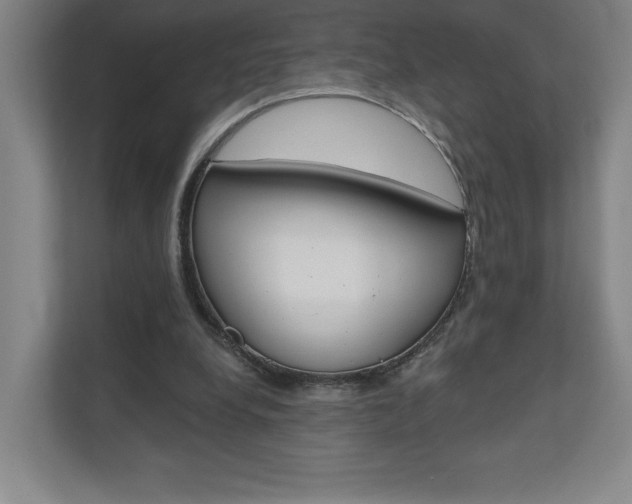 X0000110980248200906191056