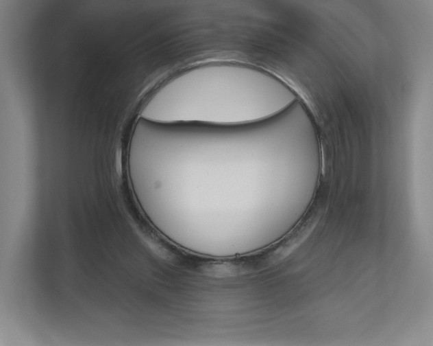 X0000110980253200906191056