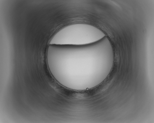 X0000110980255200906191056