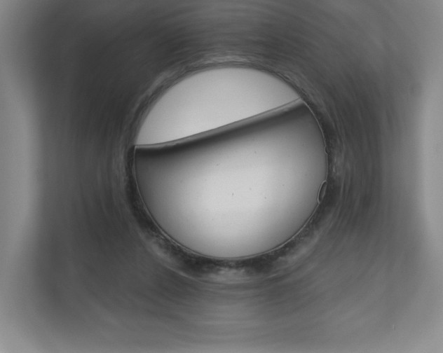 X0000110980256200906191056