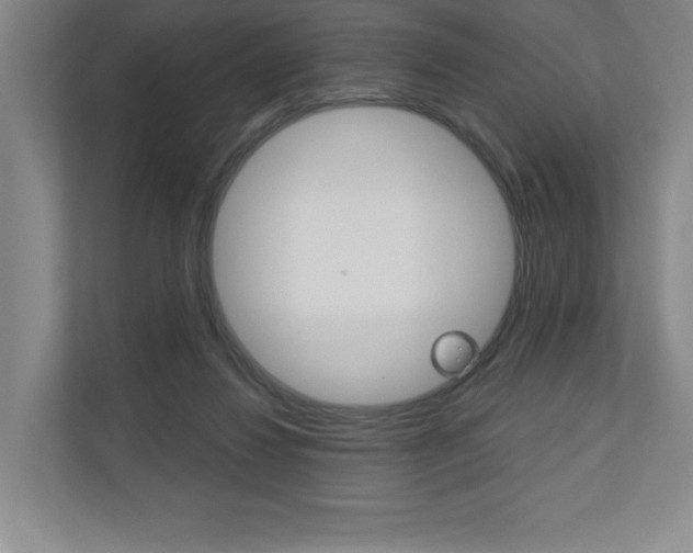 X0000110980260200906191056