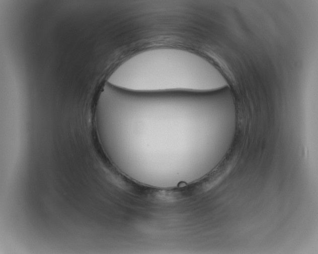 X0000110980261200906191056