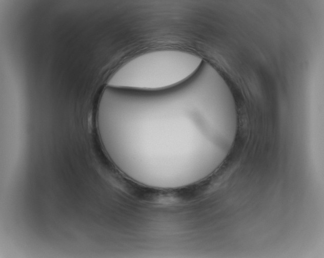 X0000110980262200906191056