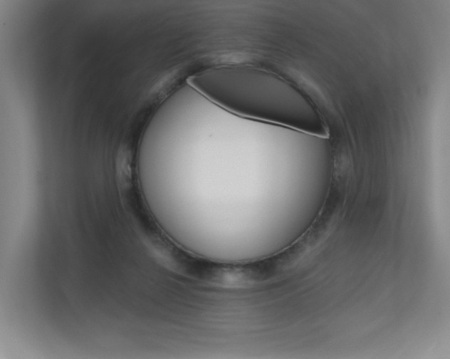 X0000110980264200906191056