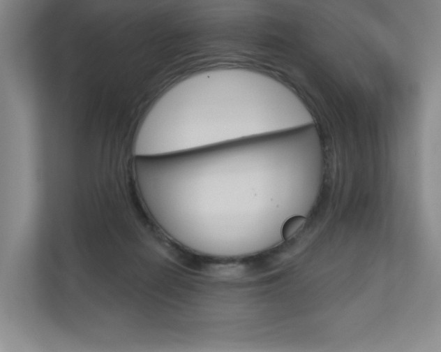 X0000110980266200906191056