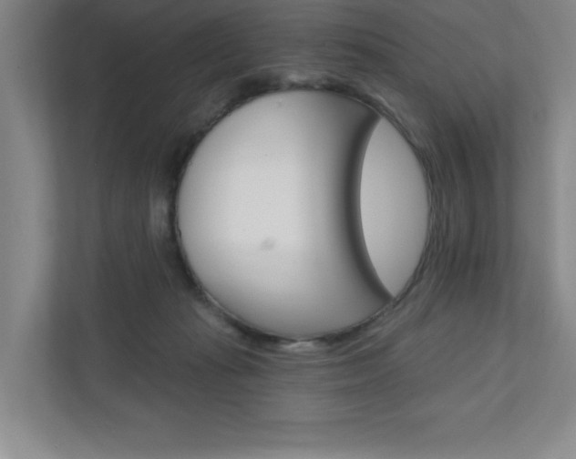 X0000110980269200906191056