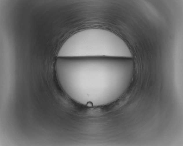 X0000110980271200906191056