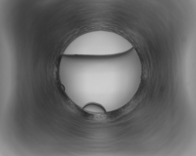 X0000110980279200906191056