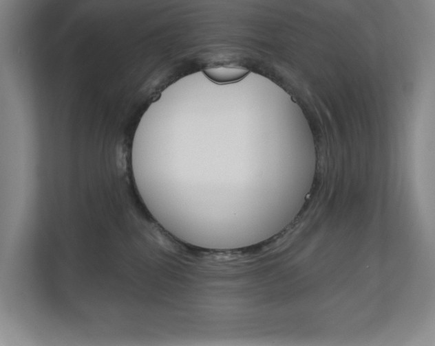 X0000110980282200906191056