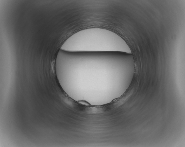 X0000110980286200906191056