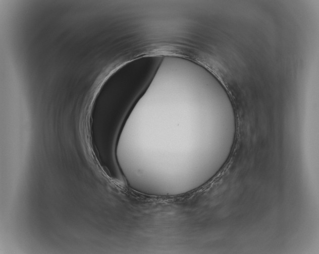 X0000110980289200906191056