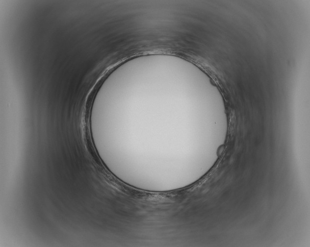 X0000110980290200906191056