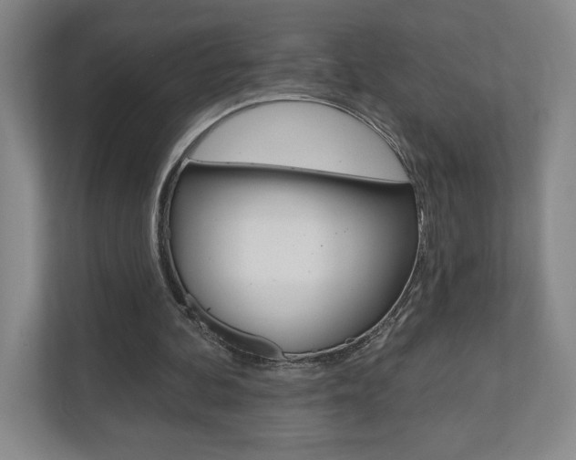 X0000110980292200906191056