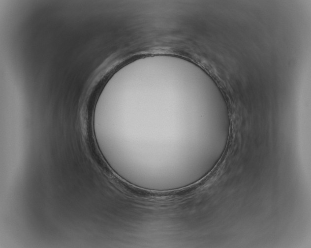 X0000110980295200906191056