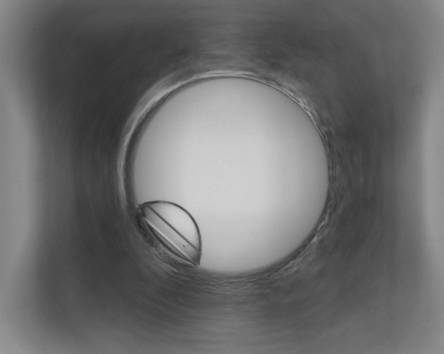 X0000110980296200906191056