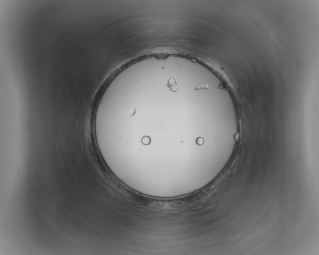 X0000110980297200906191056