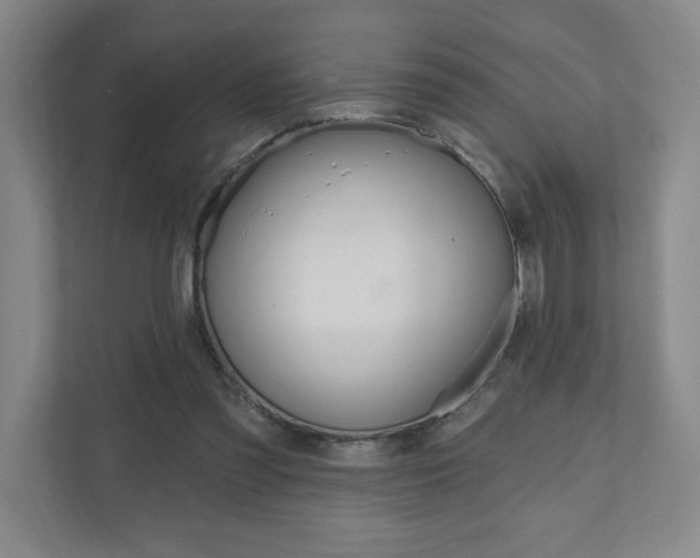 X0000110980301200906191056