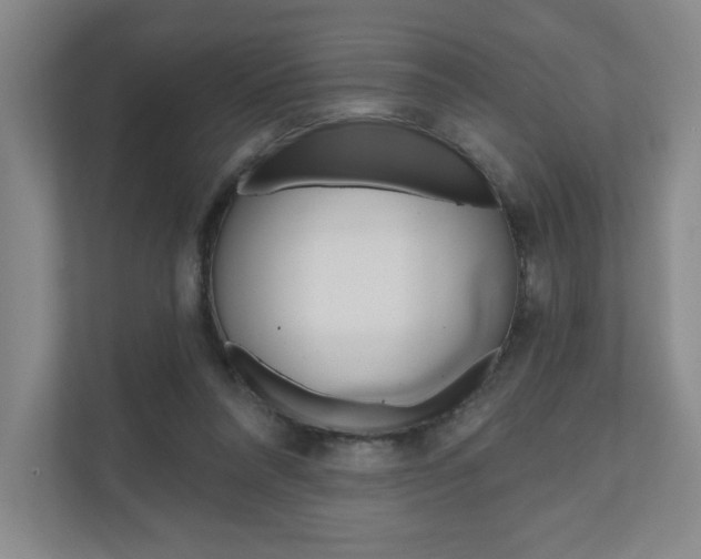 X0000110980304200906191055