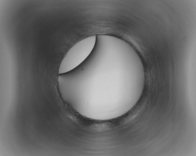 X0000110980307200906191055