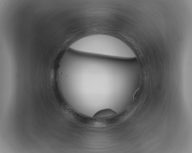 X0000110980308200906191055