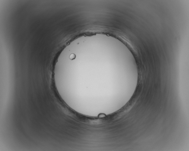 X0000110980309200906191055