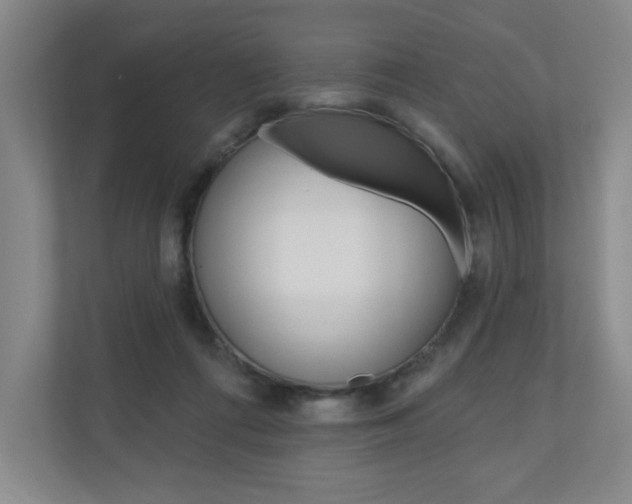 X0000110980312200906191055