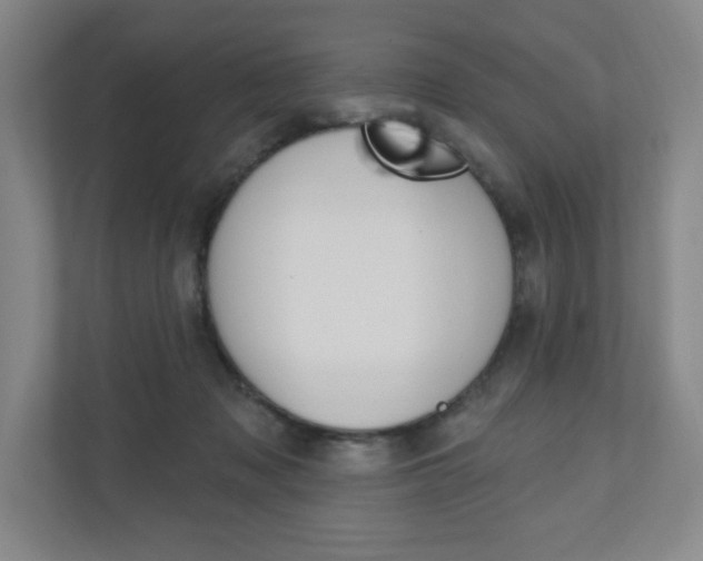 X0000110980317200906191055