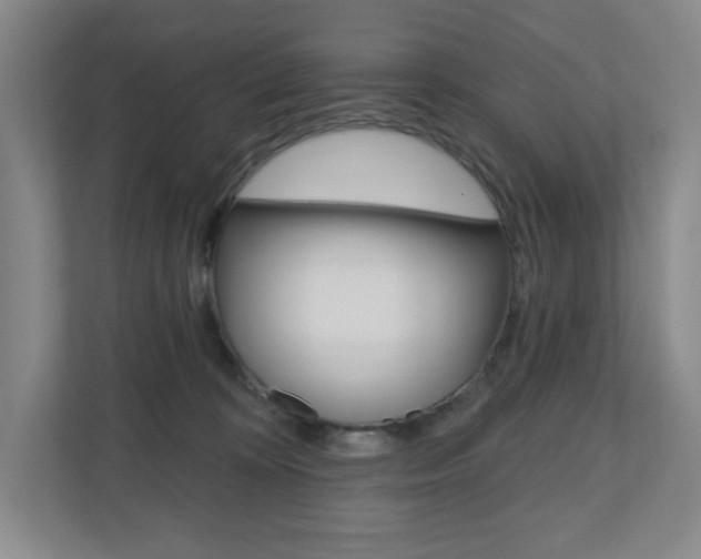 X0000110980324200906191055