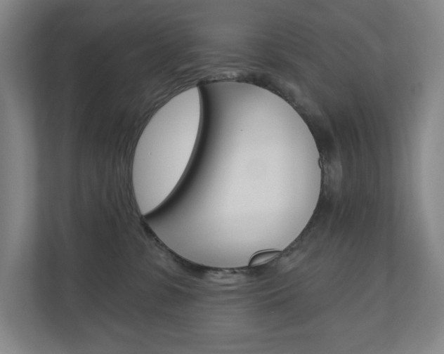 X0000110980331200906191055