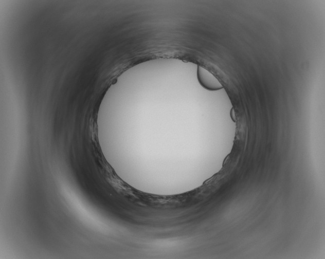 X0000110980334200906191055