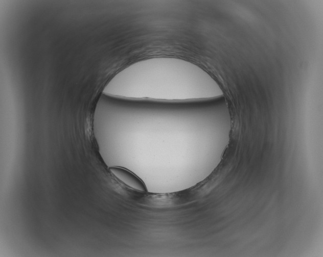 X0000110980335200906191055