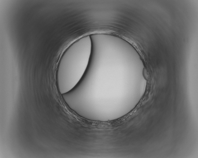 X0000110980337200906191054