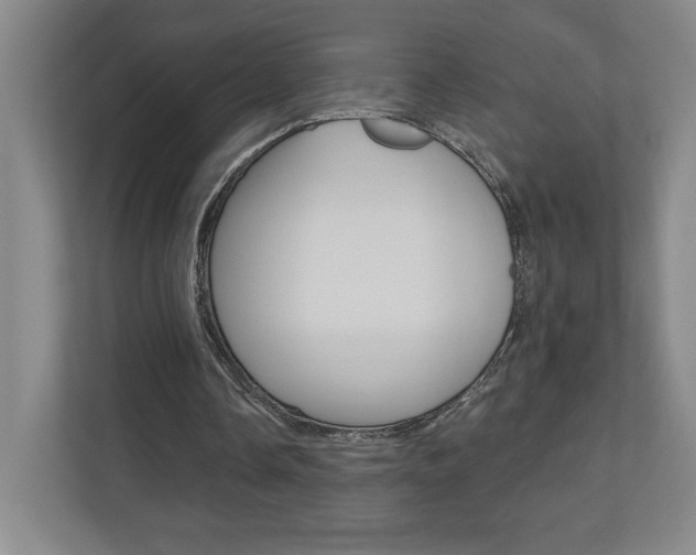 X0000110980338200906191054