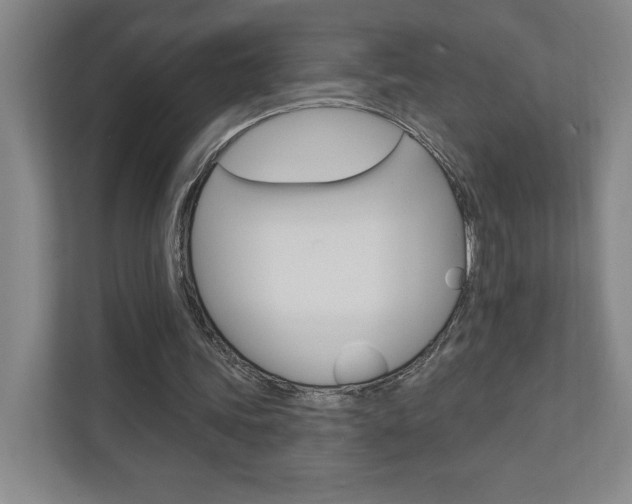 X0000110980339200906191054