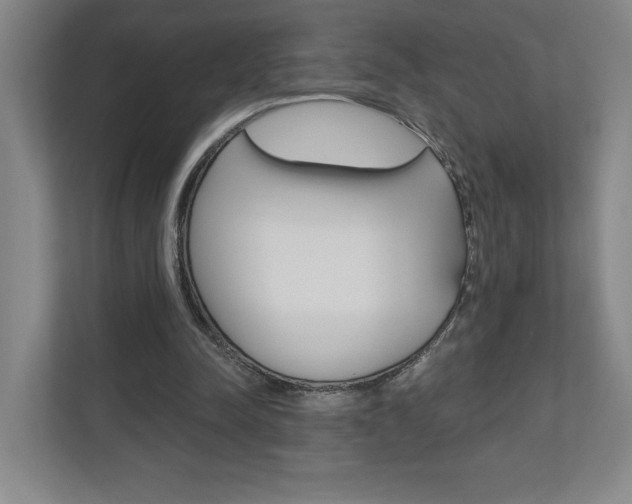 X0000110980342200906191055