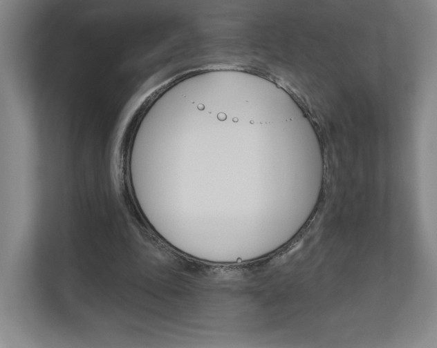 X0000110980343200906191055