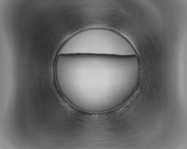 X0000110980345200906191055