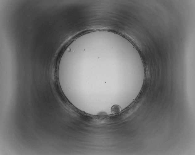 X0000110980351200906191055