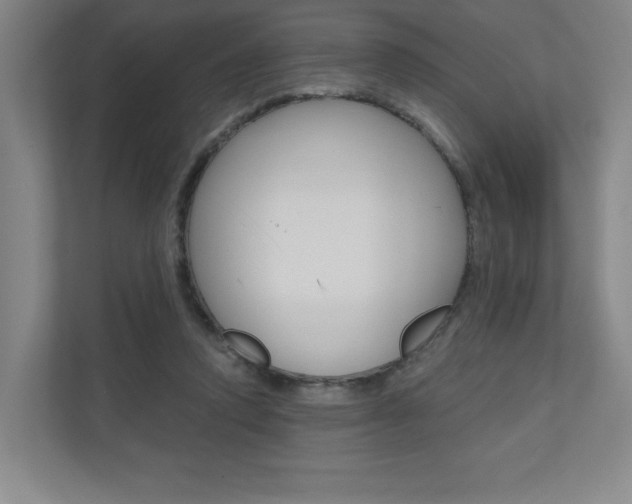 X0000110980354200906191055