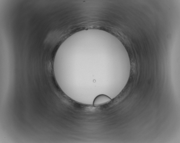 X0000110980375200906191055