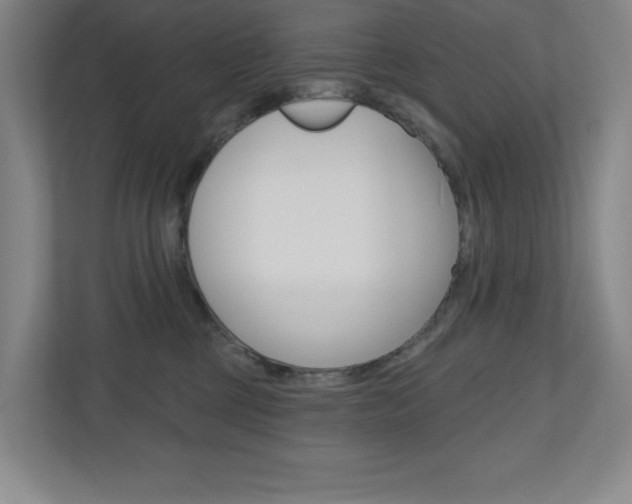 X0000110980377200906191055