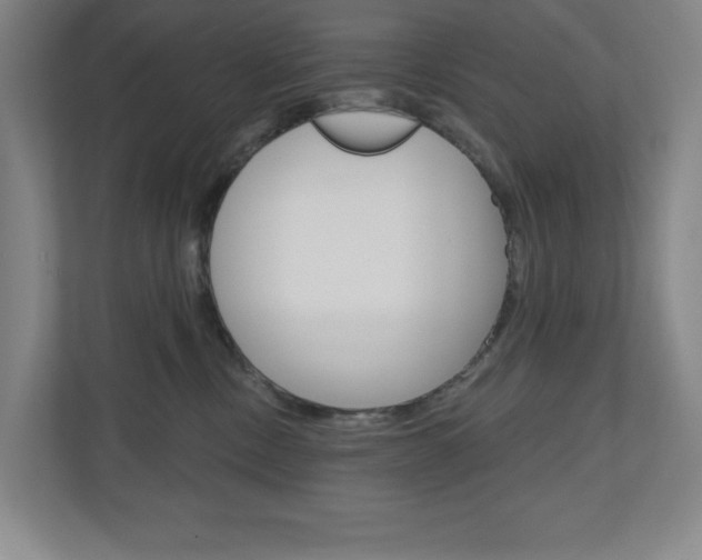 X0000110980378200906191055