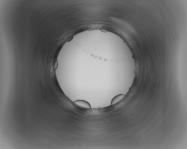 X0000110980381200906191055