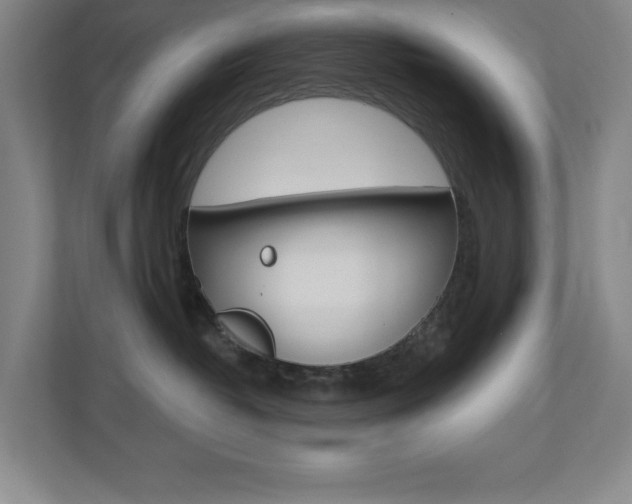 X0000110980382200906191055